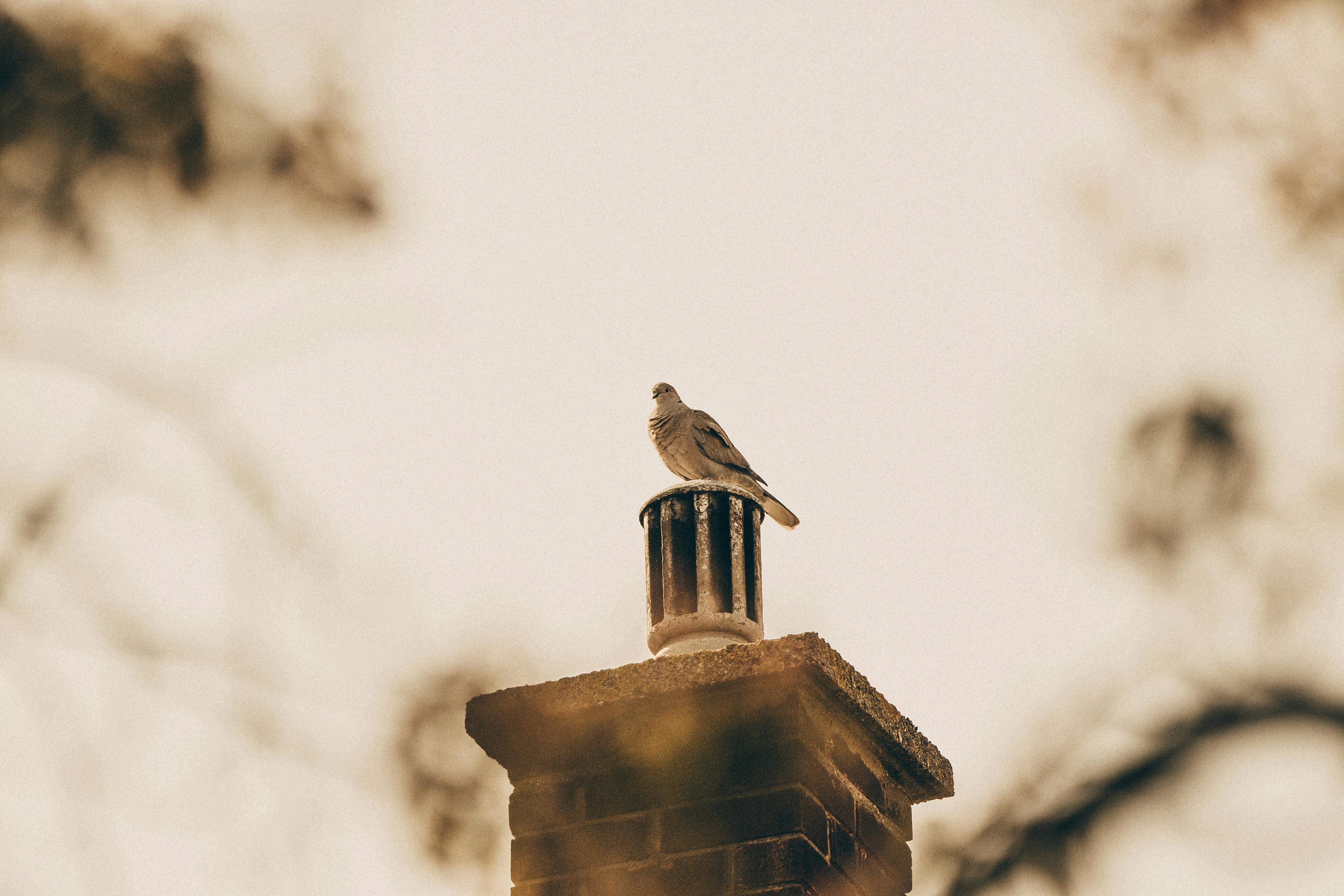 Professional Chimney Cap and Damper In San Juan Capistrano California